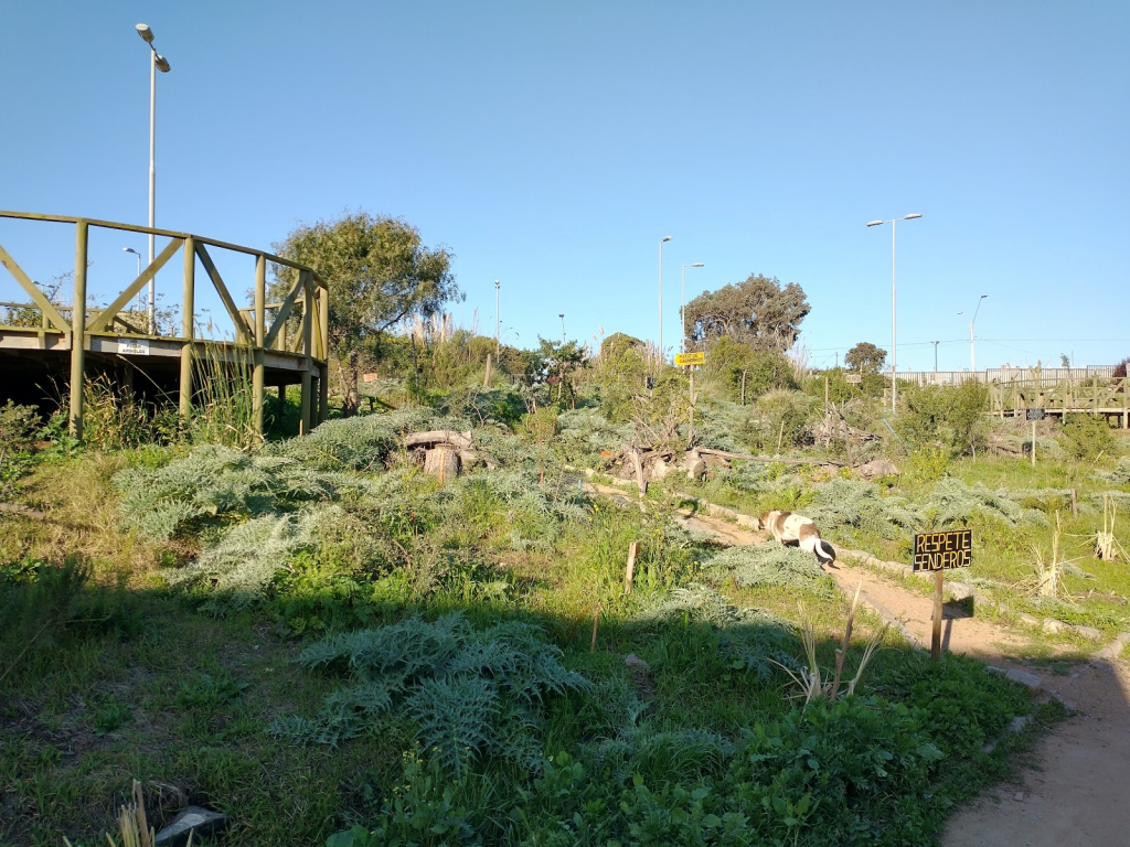 Museo de Ciencias Naturales e Históricas de San Antonio