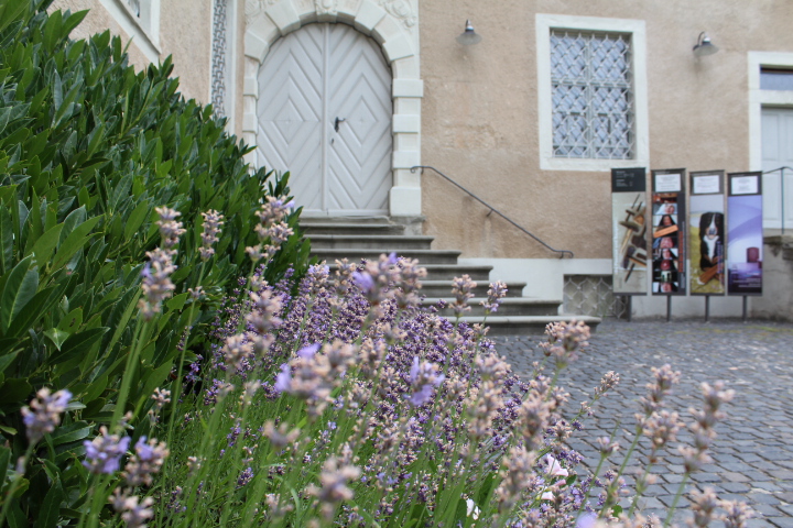 Museo de Arte del Cantón de Turgovia
