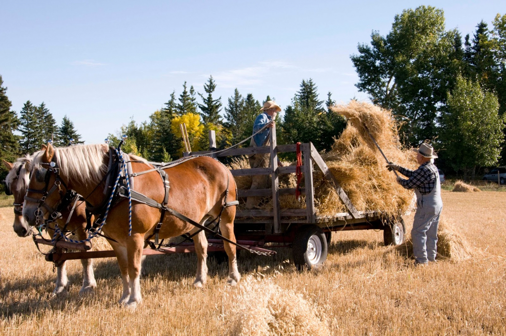 Museo de Pioneros de Stony Plain y Parkland