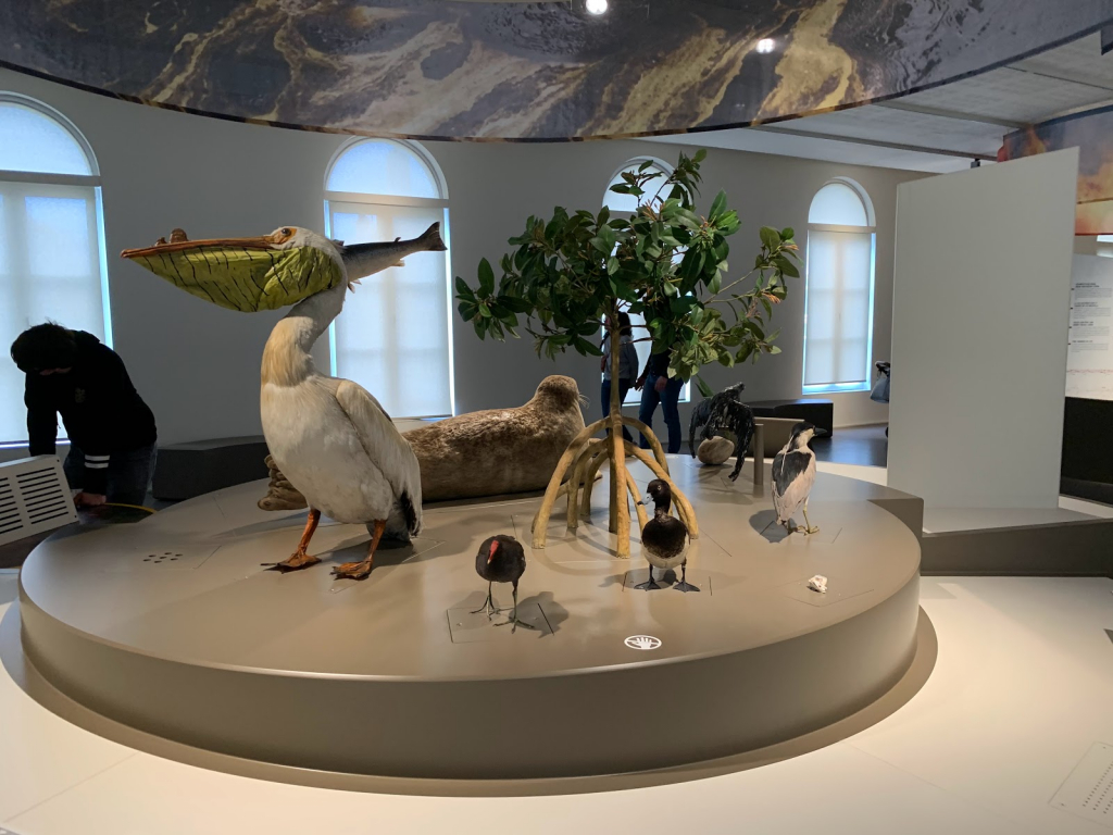 Museo Regional de Ciencias Naturales