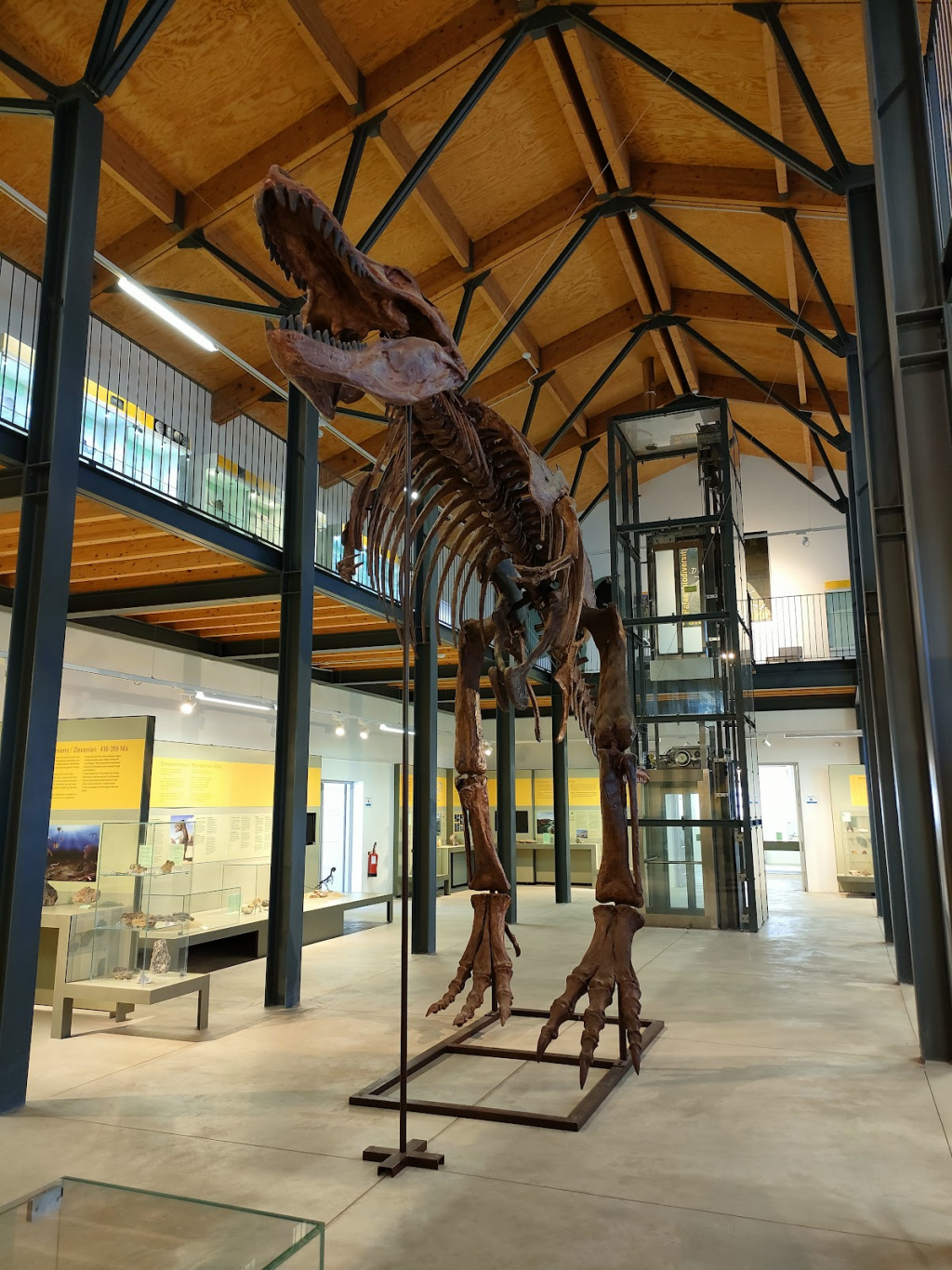 Museo Palaeoambienti Sulcitani