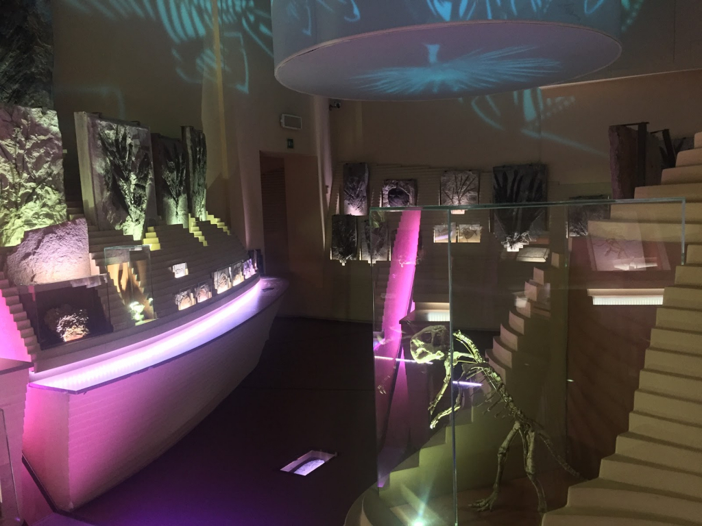 Museo de Historia Natural Giancarlo Ligabue