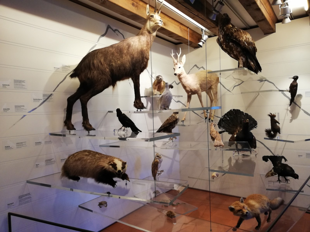 Museo de Historia Natural del Baldo y del Garda