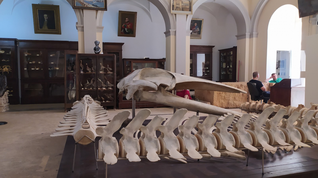 Museo Cívico Emanuele Barba