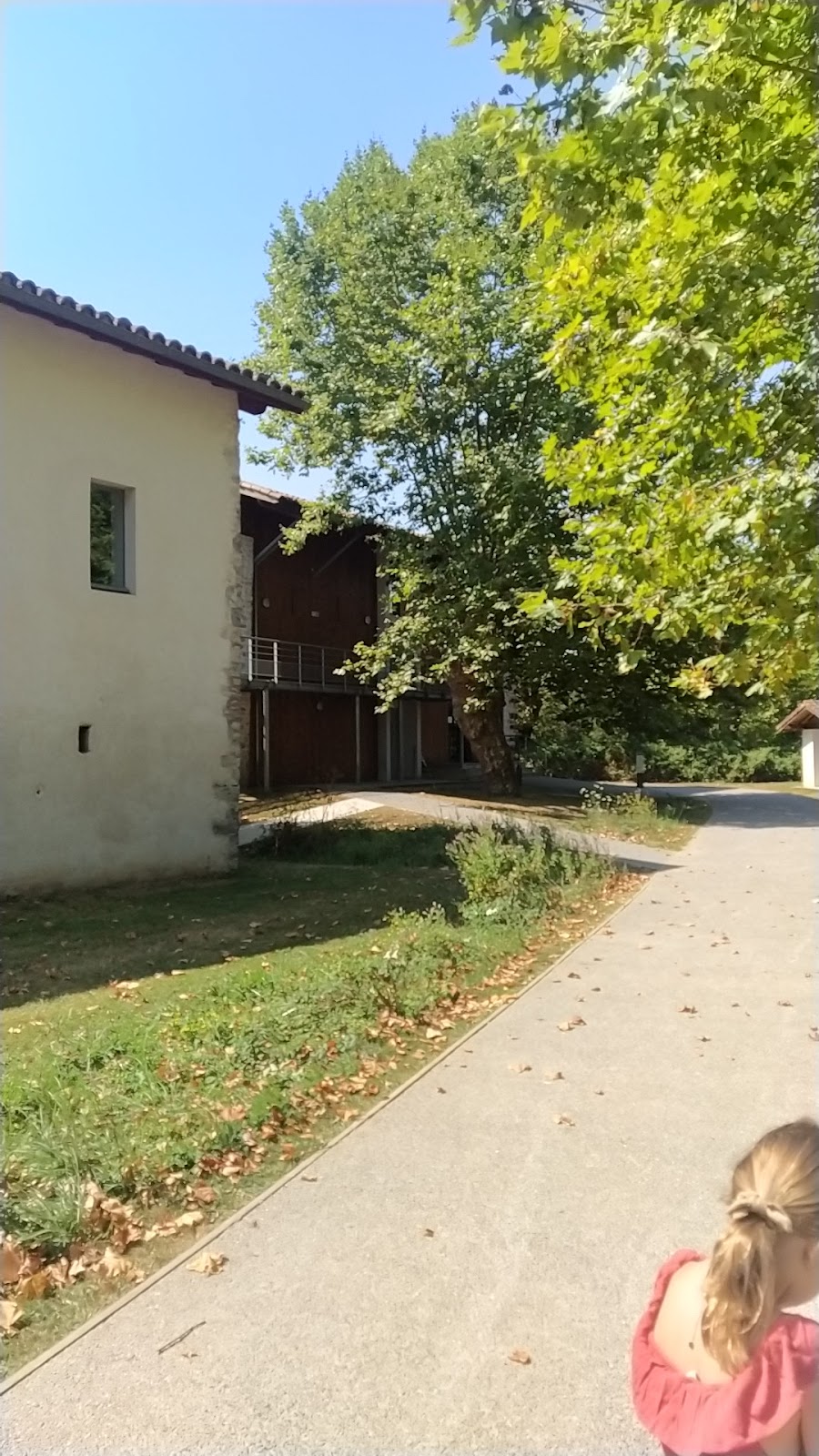 Museo de Historia Natural y Casa de los Barthes de Bayona