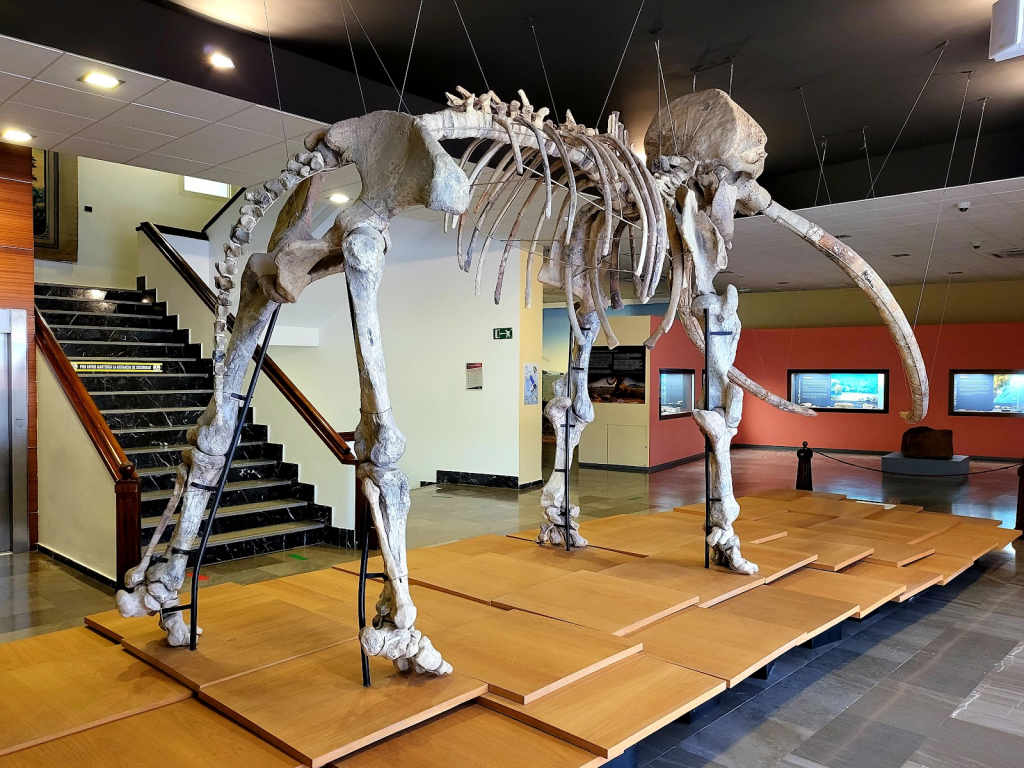 Museo de Ciudad Real