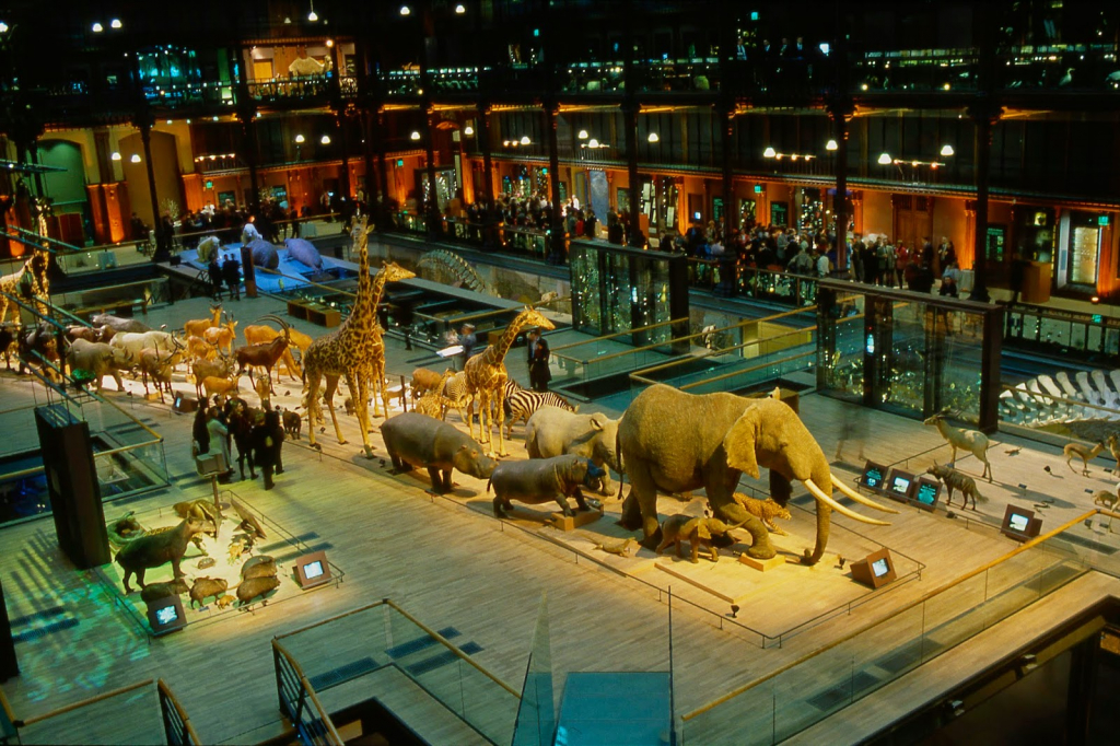 Gran Galería de la Evolución