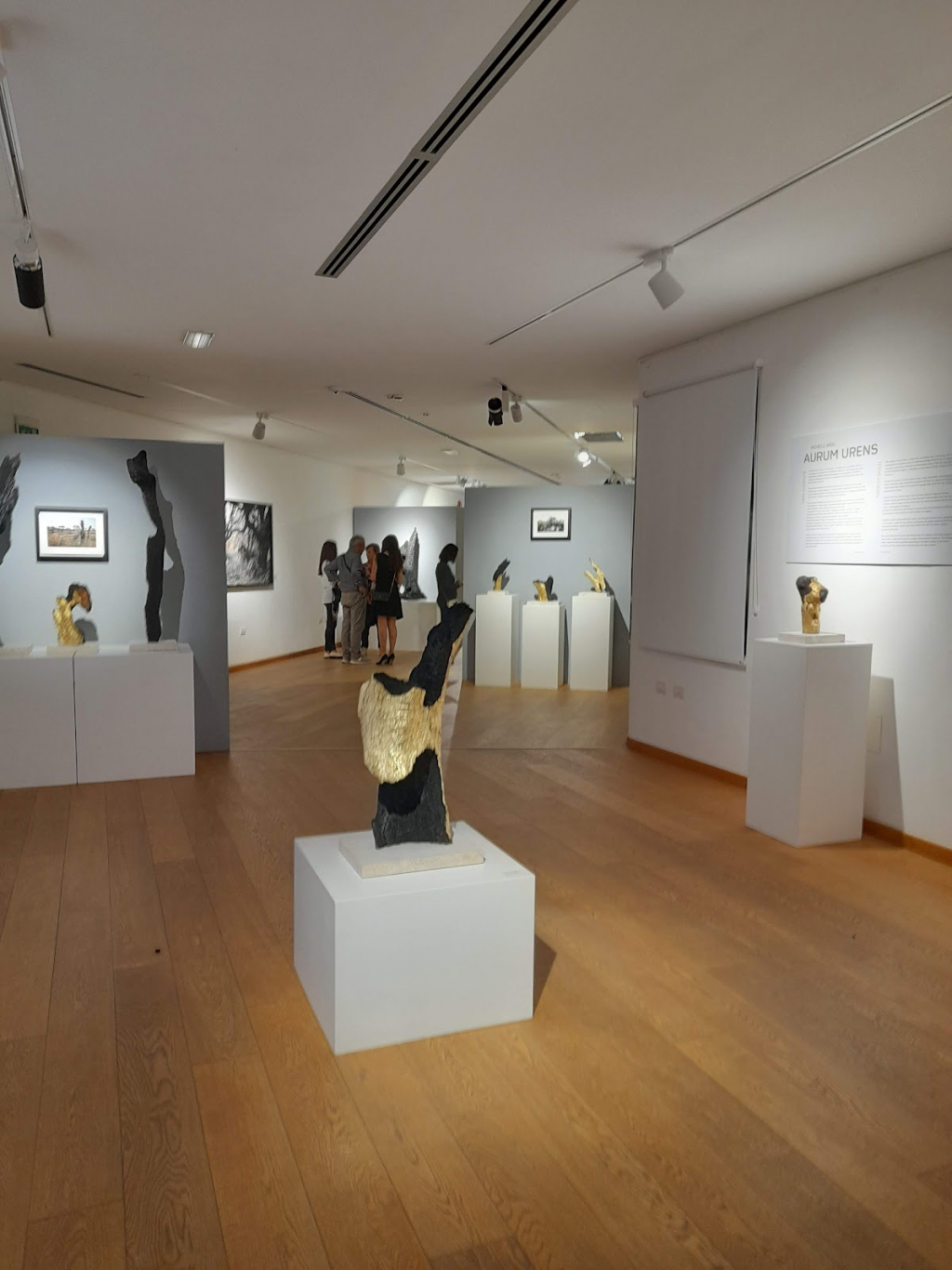 Museo Diocesano Arborense