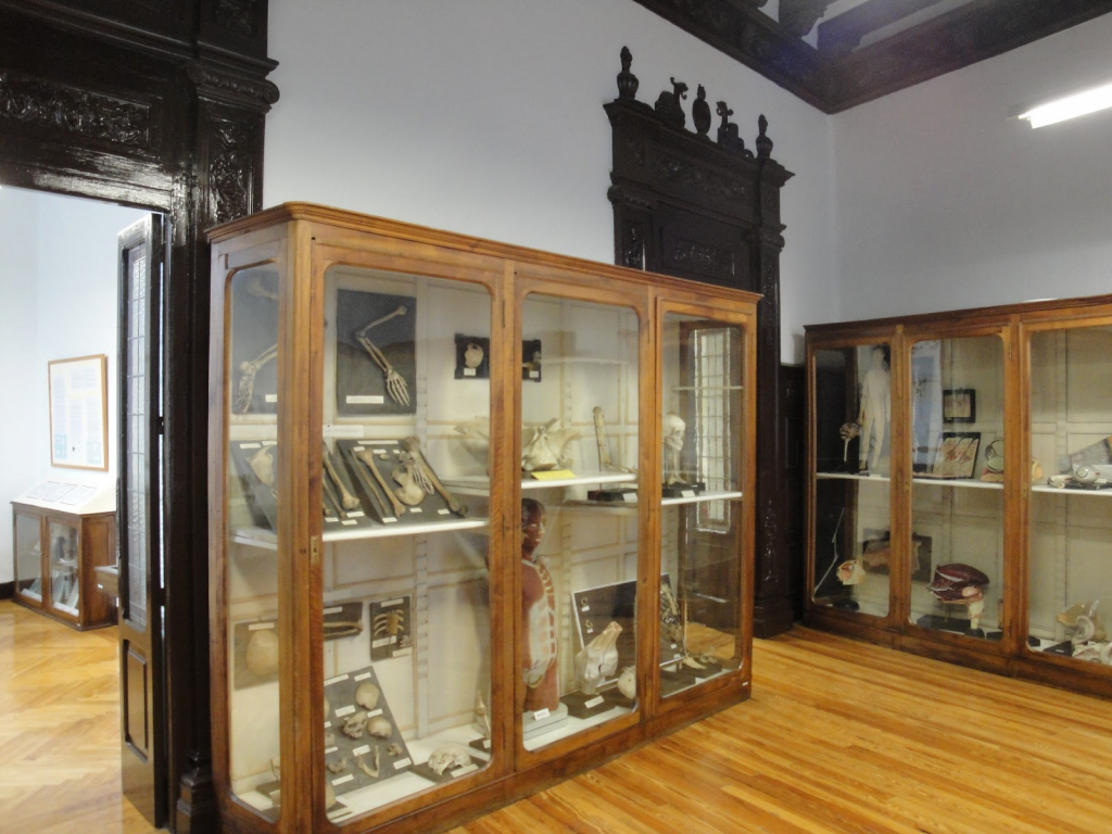 Museo de Ciencias Naturales