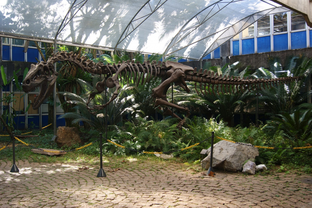 Museo de Geociencias