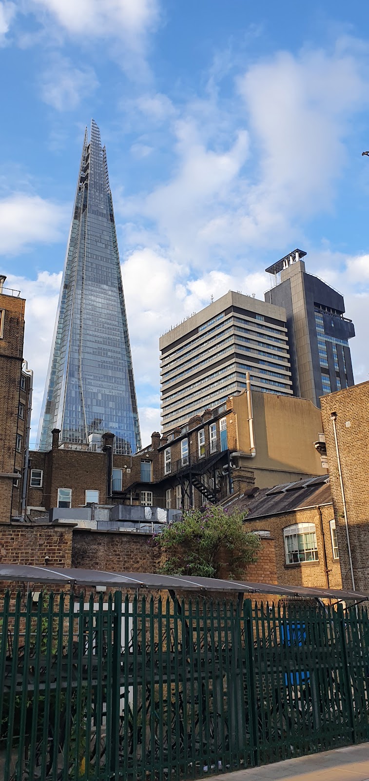 Museo Gordon de Patología