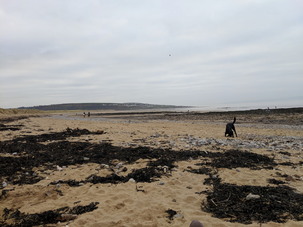 La Vieja Galería de Tiro