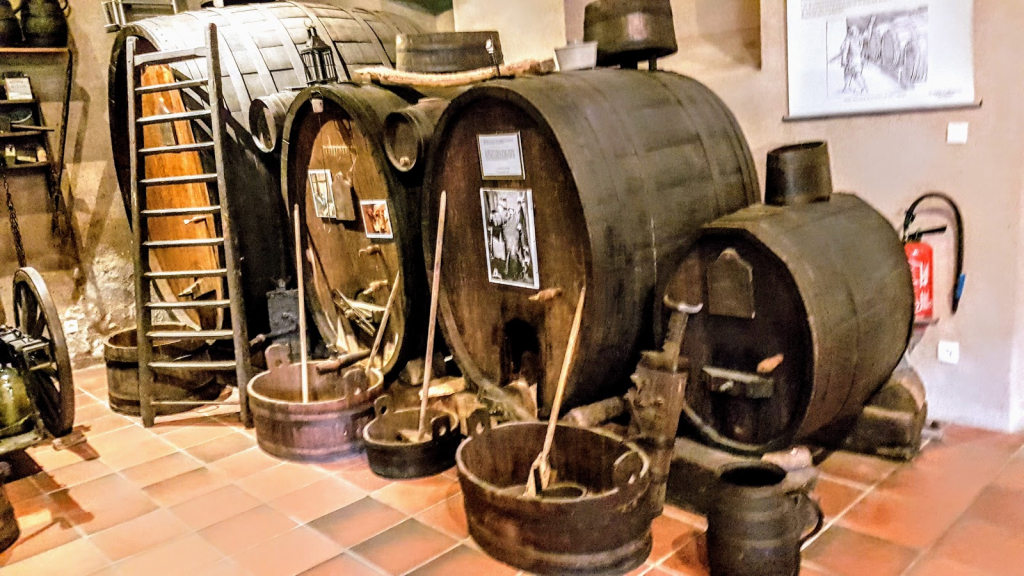 Museo del Viñedo y los Vinos de Alsacia